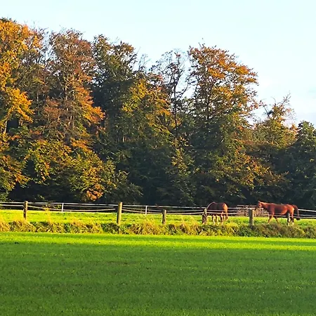 Grand Westfalia Semesterbostad Lotte