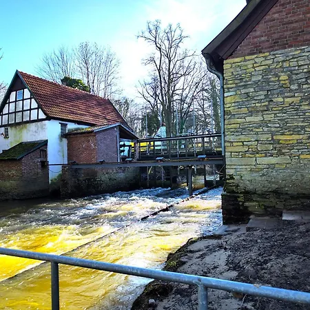 Grand Westfalia * Lotte