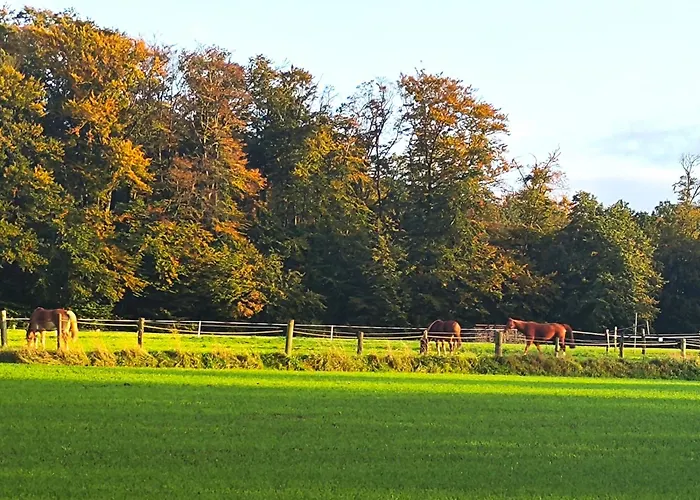 Grand Westfalia Vakantiehuis Lotte